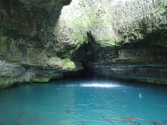 Roaring River Spring (courtesy of Tyler Thompson)