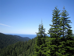 Cummins Creek Overlook (click for slideshow)