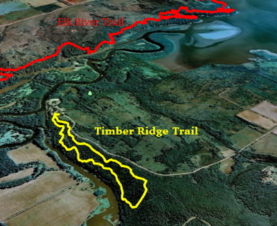 Timber Ridge Trail