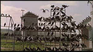 The Birds (1963)