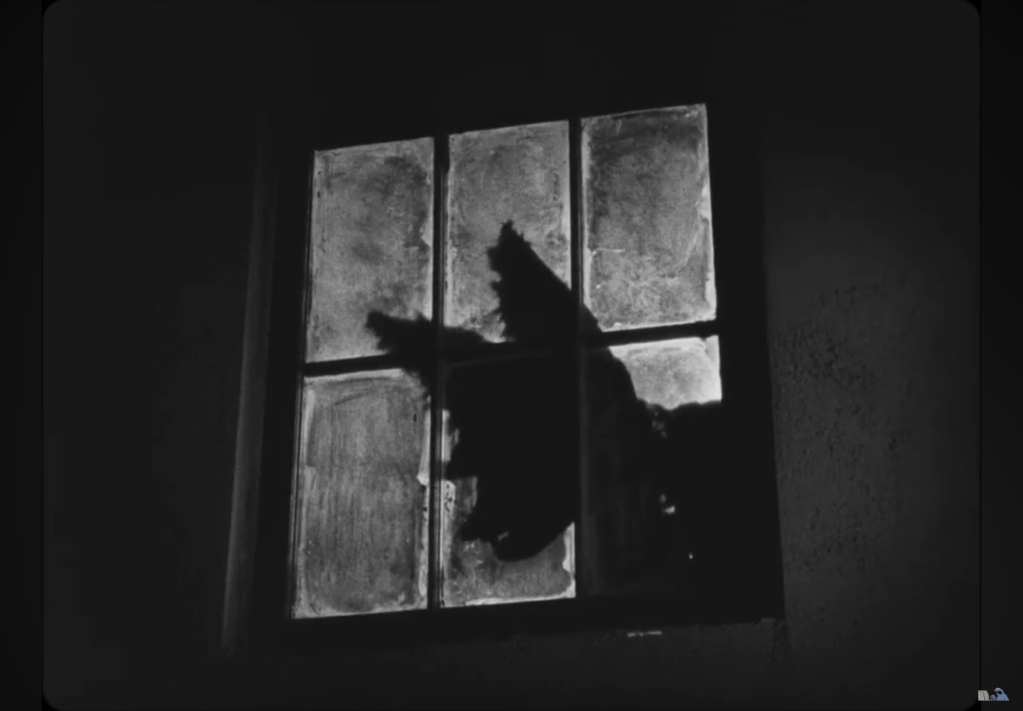 The Bat's shadow