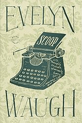 Scoop cover