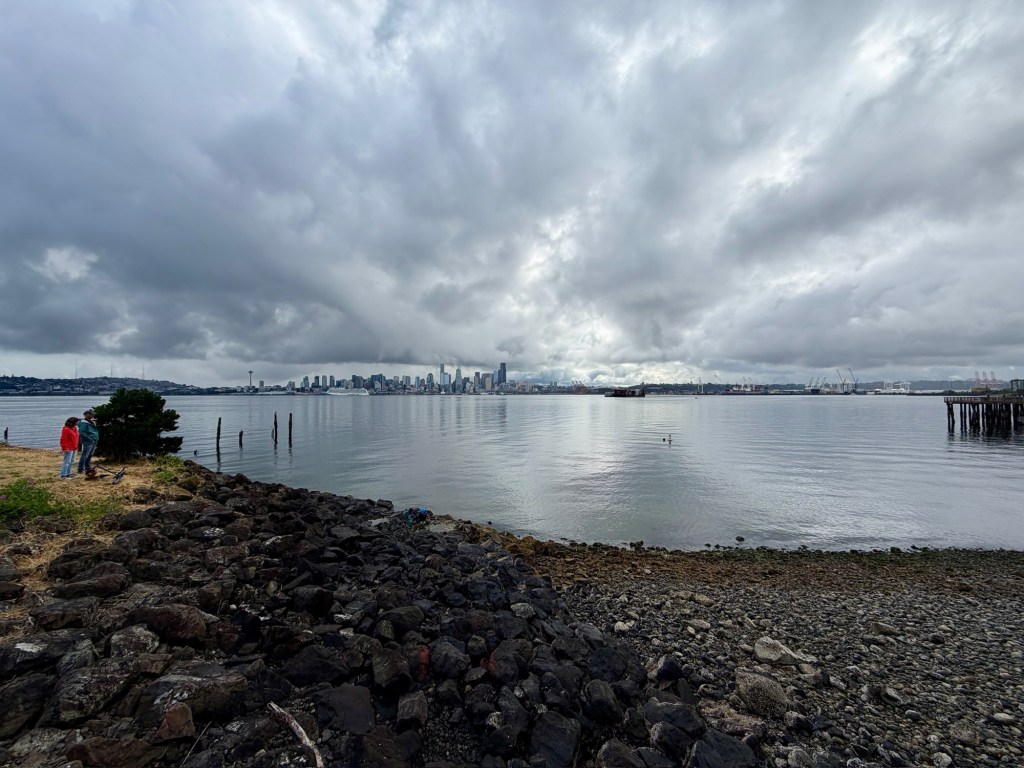view across Elliott Bay