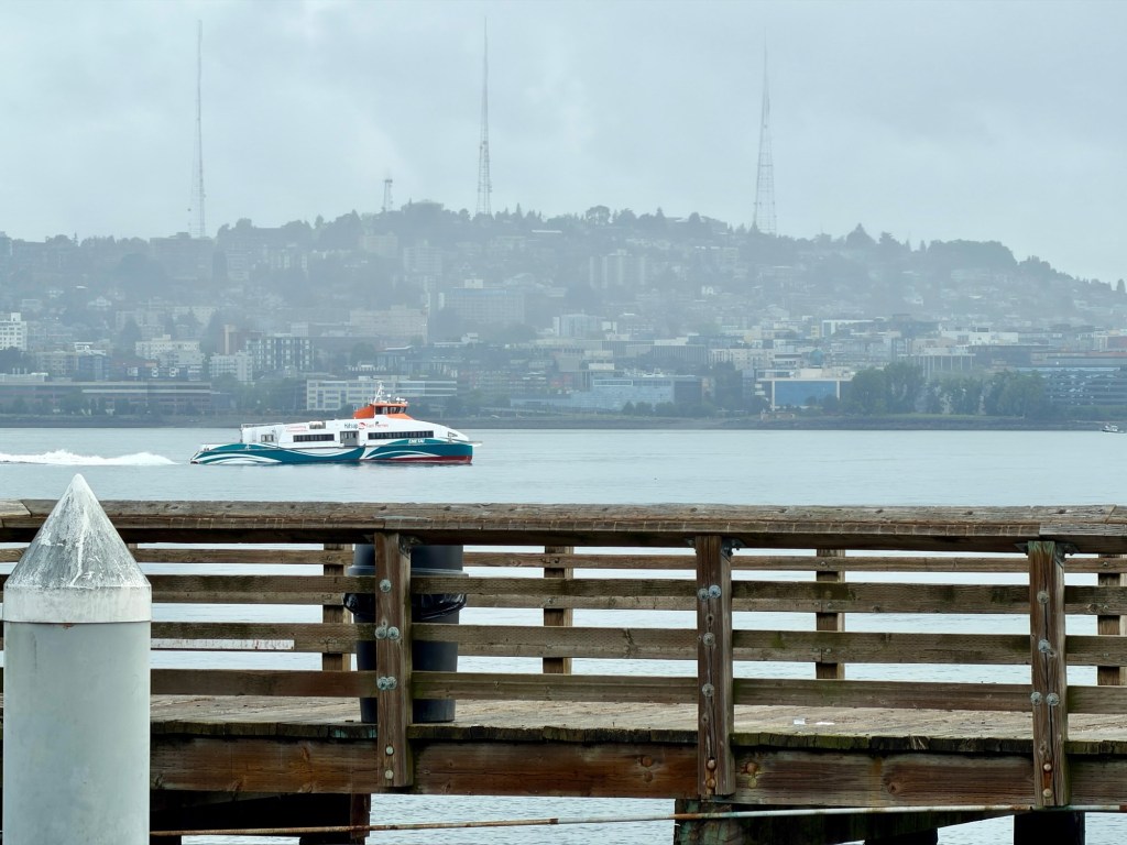 fast ferry