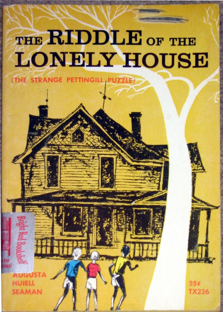 The Riddle of the Lonely House book cover